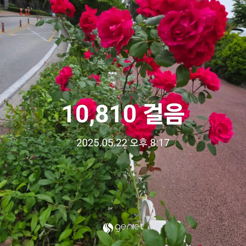 만보걷기운동 