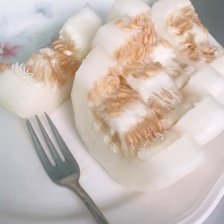 참외먹어요