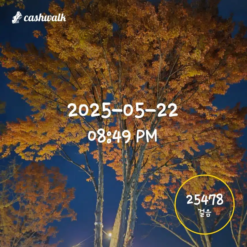 AGE20'S 하루 6천보 4일차 인증