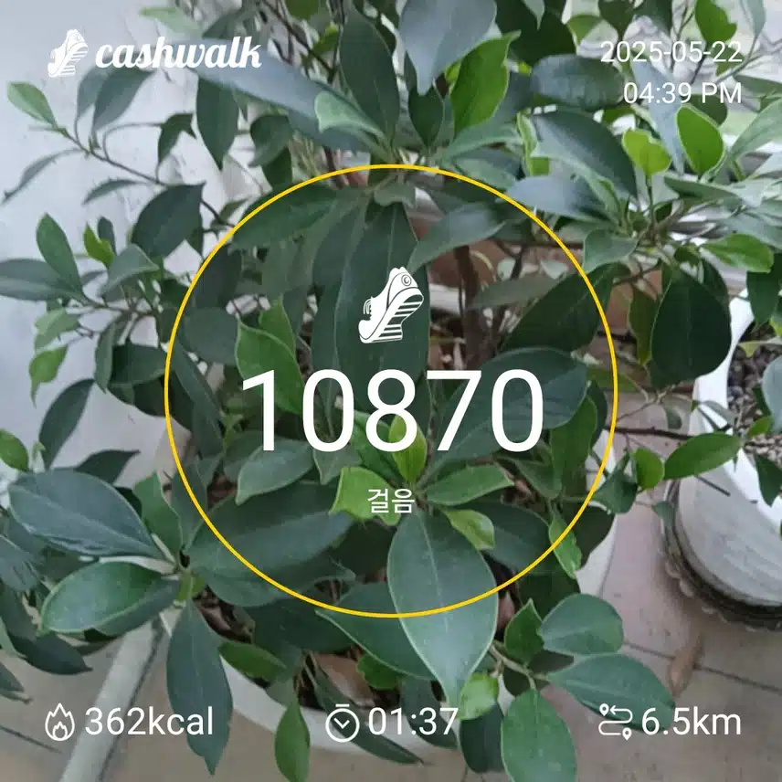 인증 