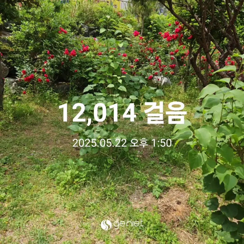 점심 후 걷기와 계단오르기로 🏃