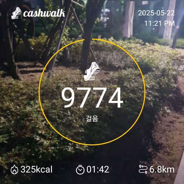 만보걷기 아닌.