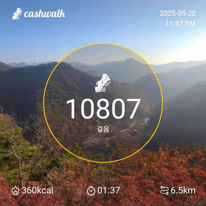 인증