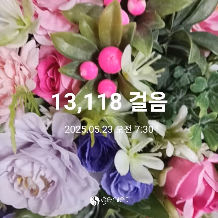 오전 운동 
