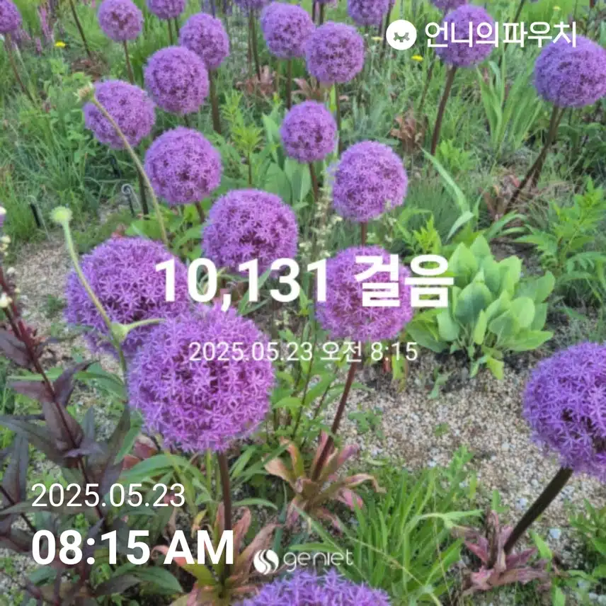 만보걷기 오늘도 완주합니다