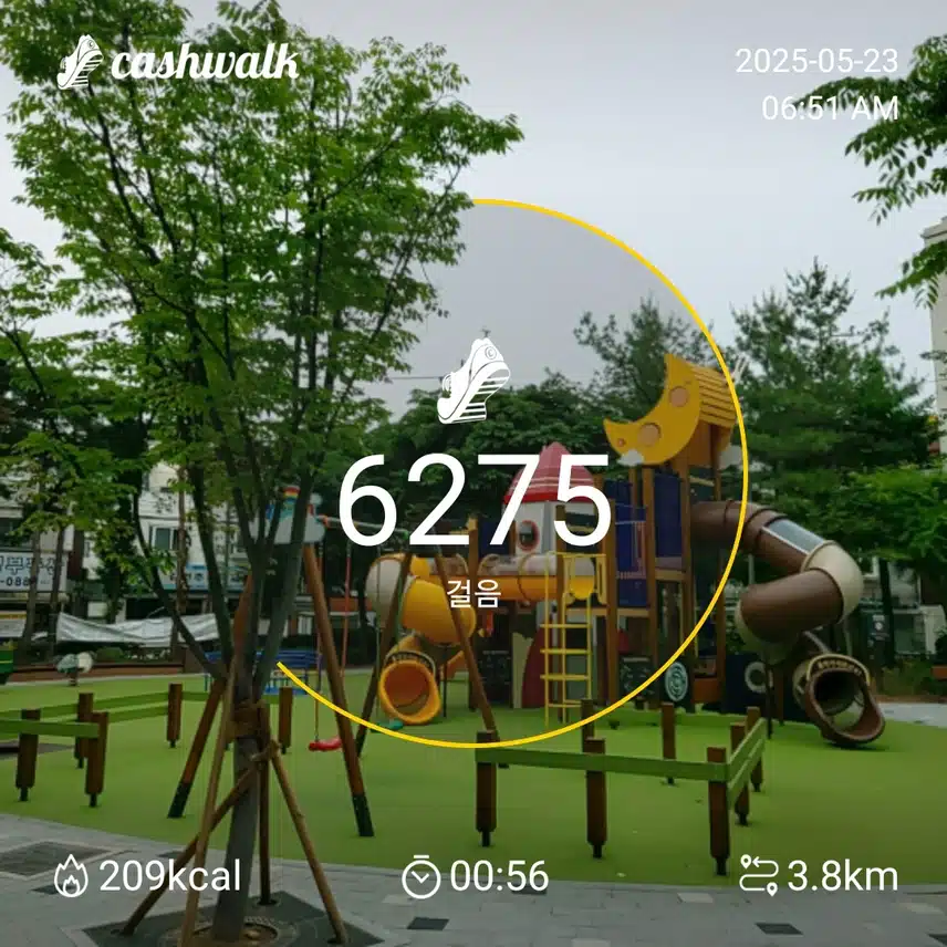 6000 보 걷기