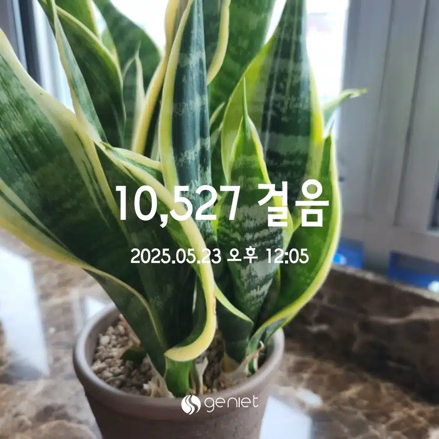 💪5.23  만보걷기 💕