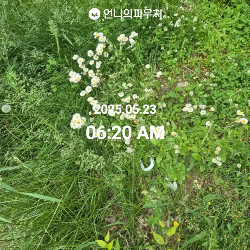 5/23 만보 걷기 