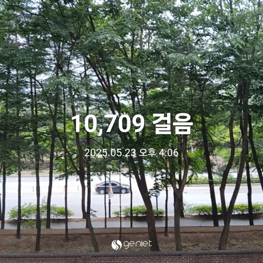금요일 걷기운동^^