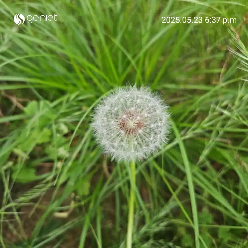 식후 걸었네요.🏃