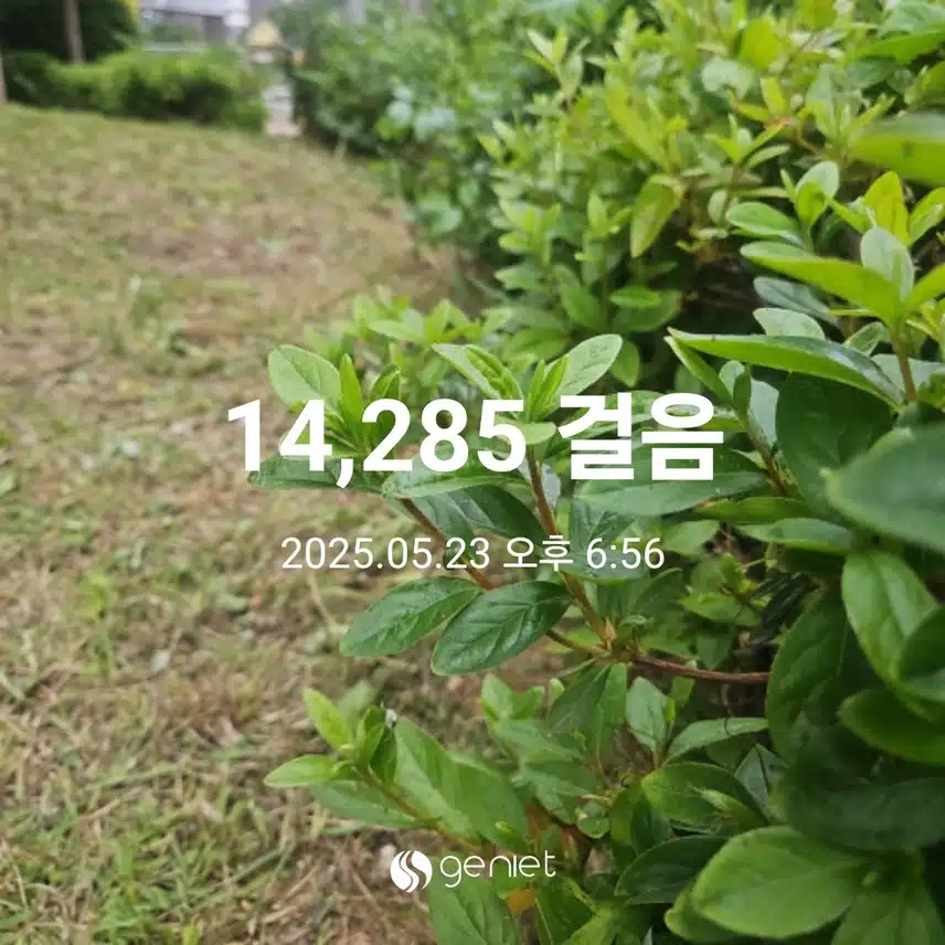 식후 걸었네요.🏃