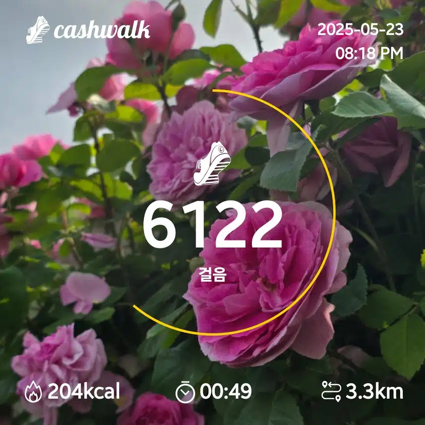 인증