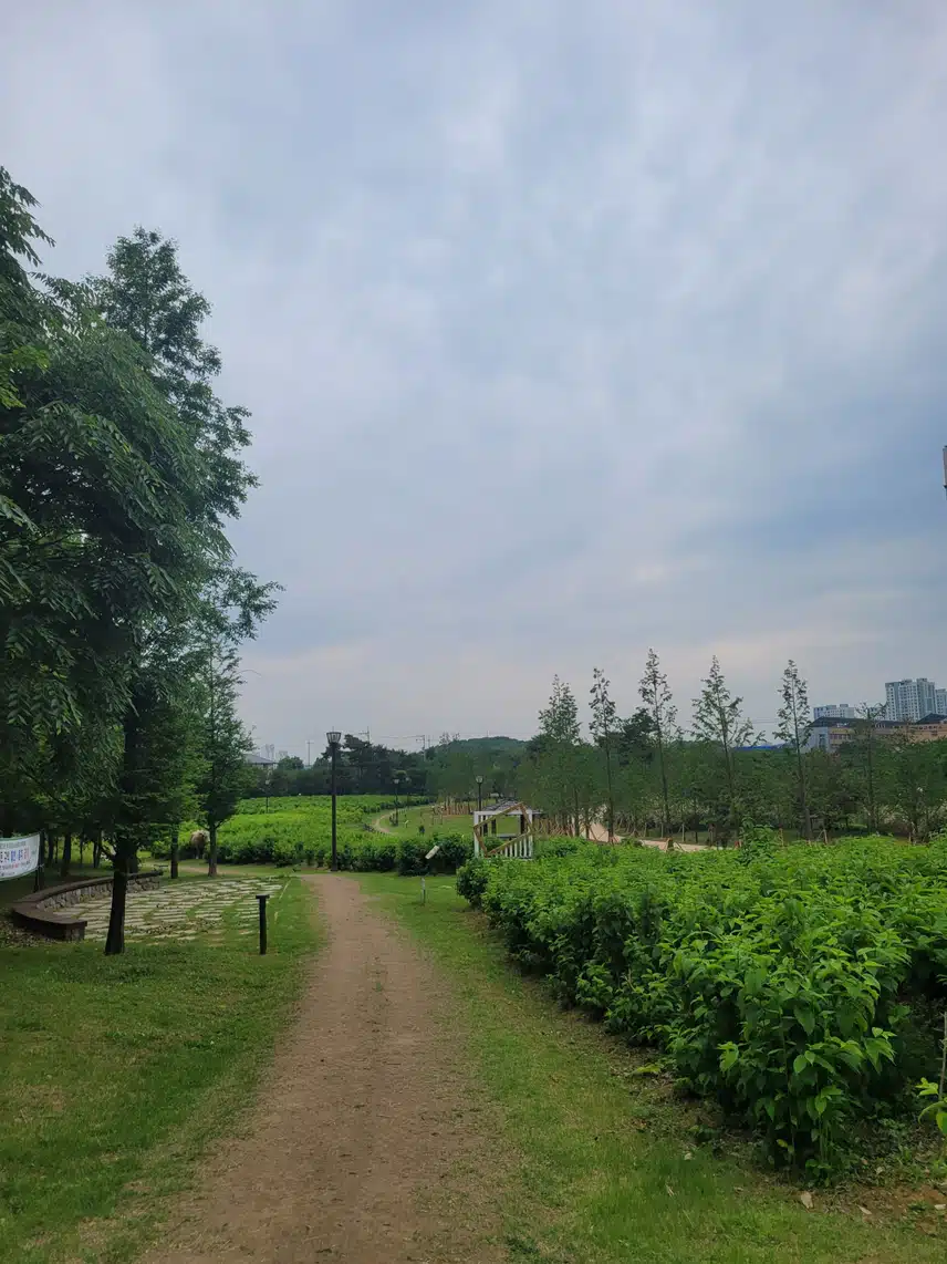 이번주도 수고하셨어요