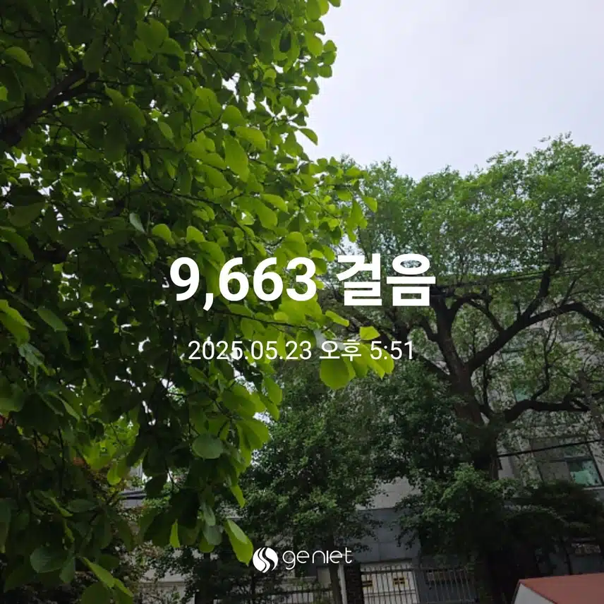 금요일 마무리(초당옥수수 정리)