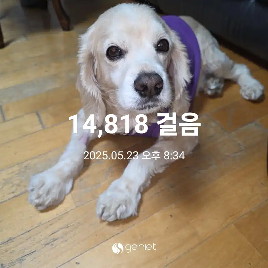 금요일 마무리(초당옥수수 정리)