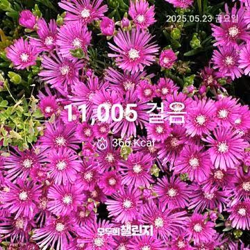 5월 23일 만천보 완주 