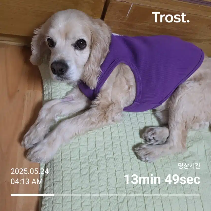 토요일 아침 