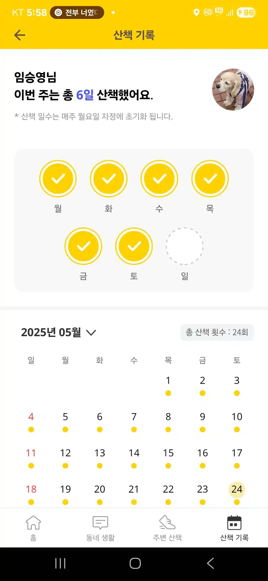 6천보챌 39기 최종보상(산책 보상도)