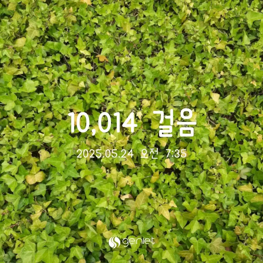 토 만보걷기완료