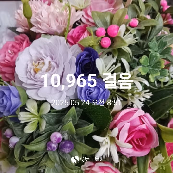 오전 운동 