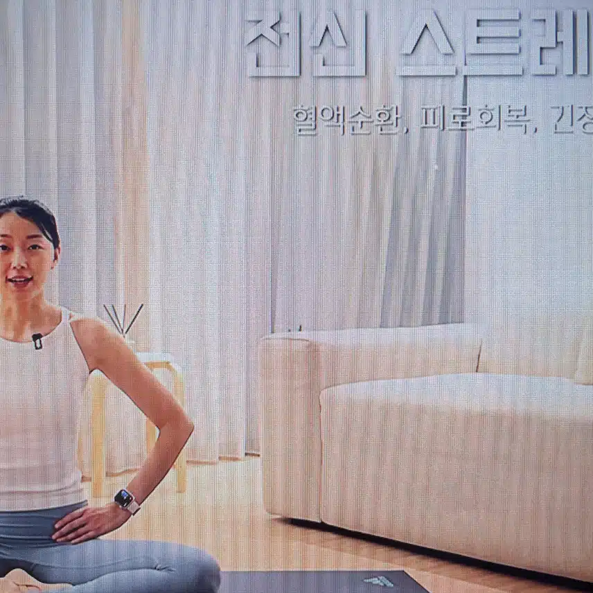 스트레칭