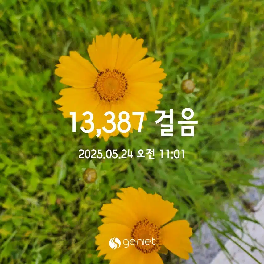 💪5.24  만보걷기 💕