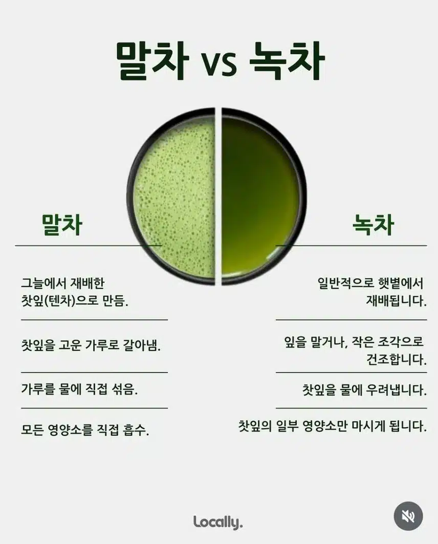 말차와 녹차의 차이