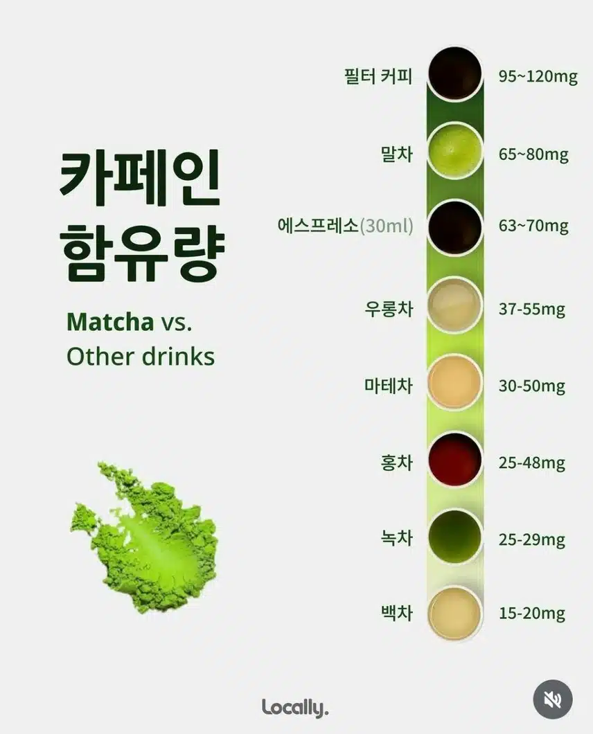 말차와 녹차의 차이