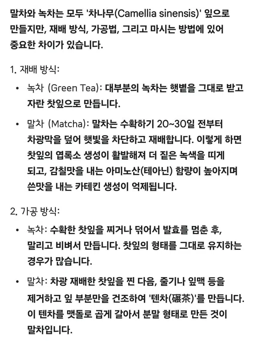 말차와 녹차의 차이