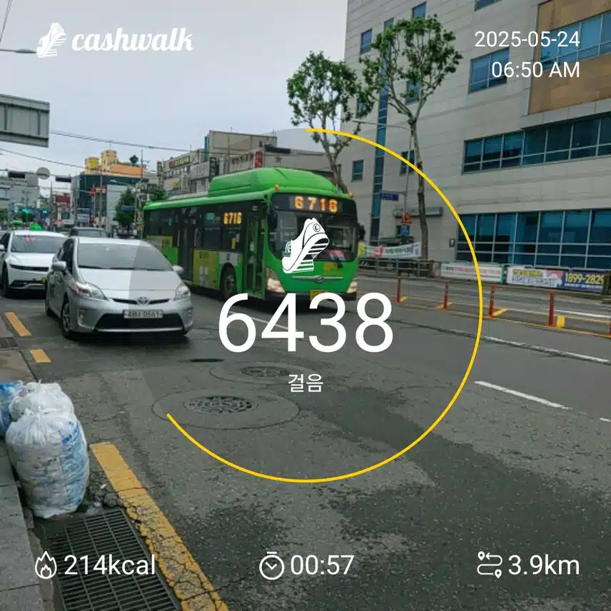 6000보 걷기