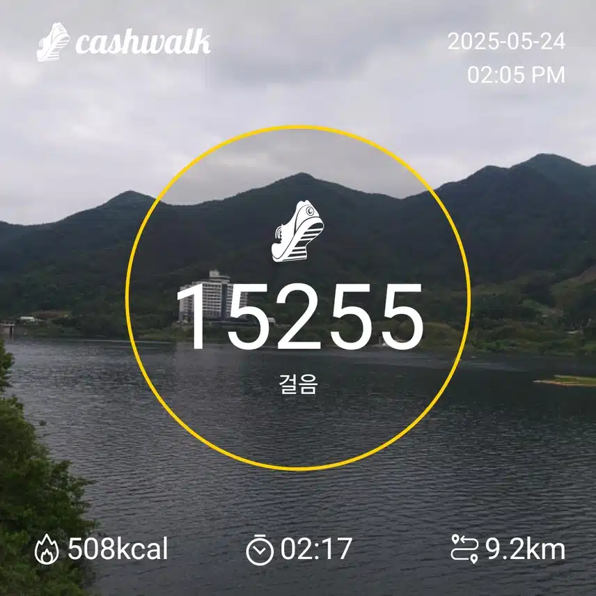 인증 