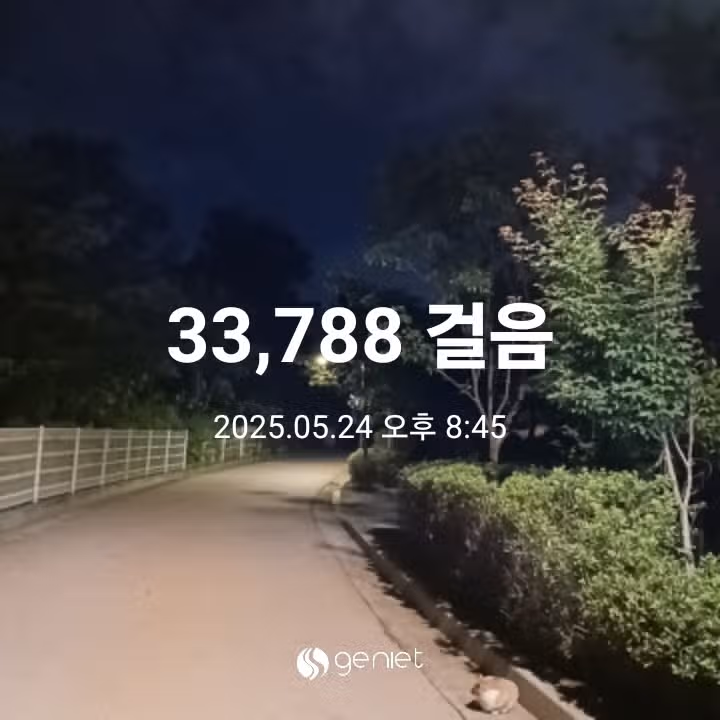 삼만보 걷기 