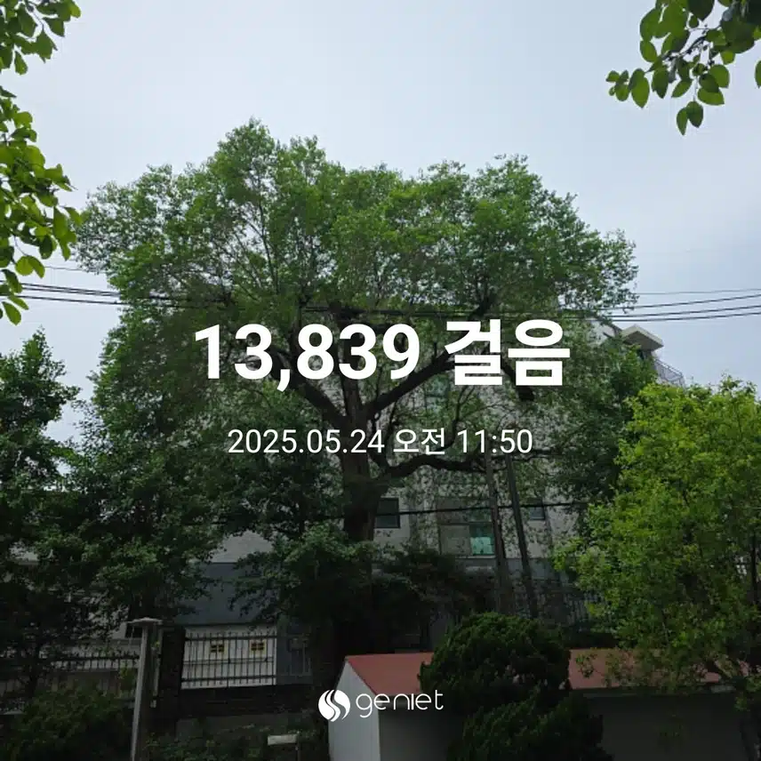 토요일 마무리 