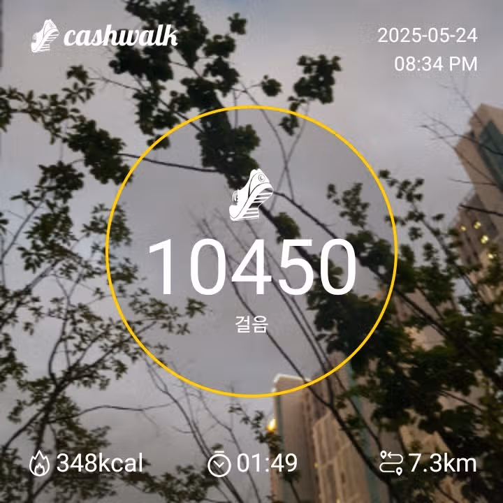 만보걷기 