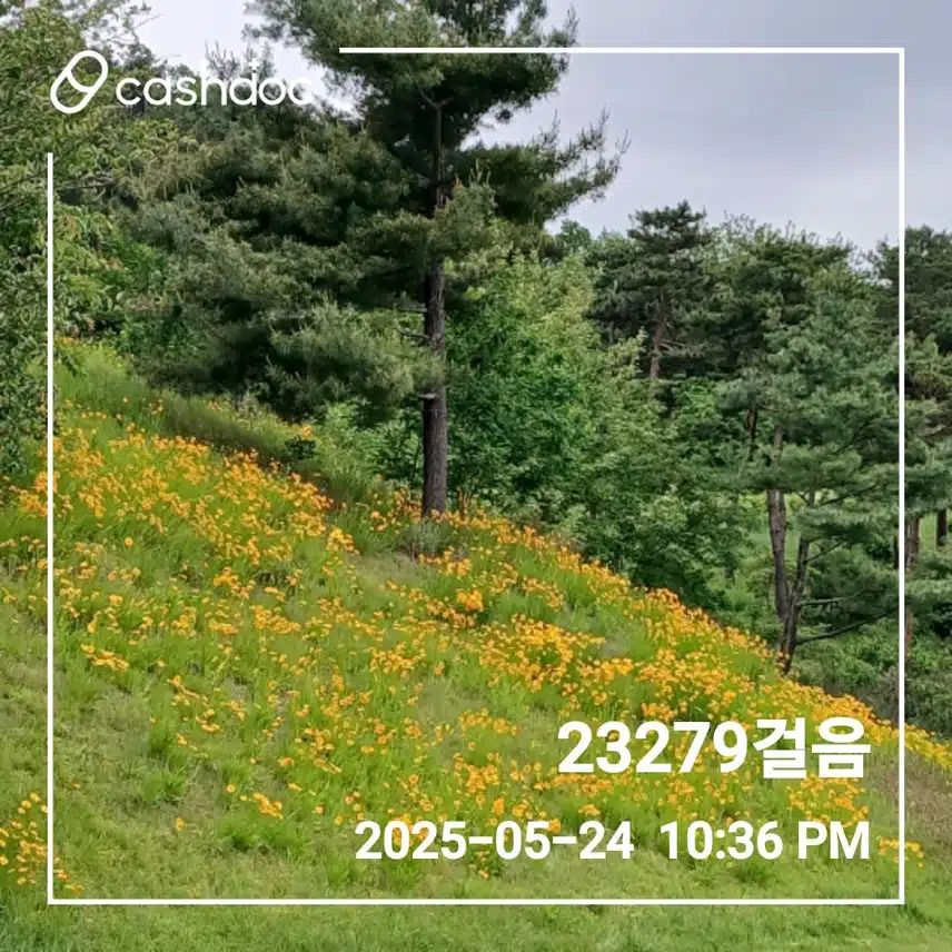 만보걷기 6일차 완주 했어용~~💪