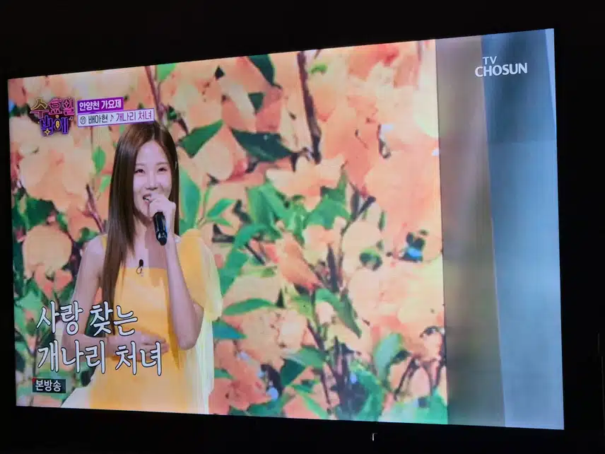 배아현님 개나리 처녀 노래 120%소화하며 불러줬네요
