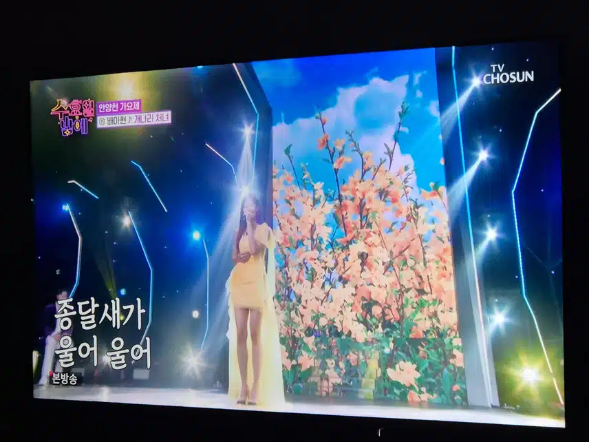 배아현님 개나리 처녀 노래 120%소화하며 불러줬네요