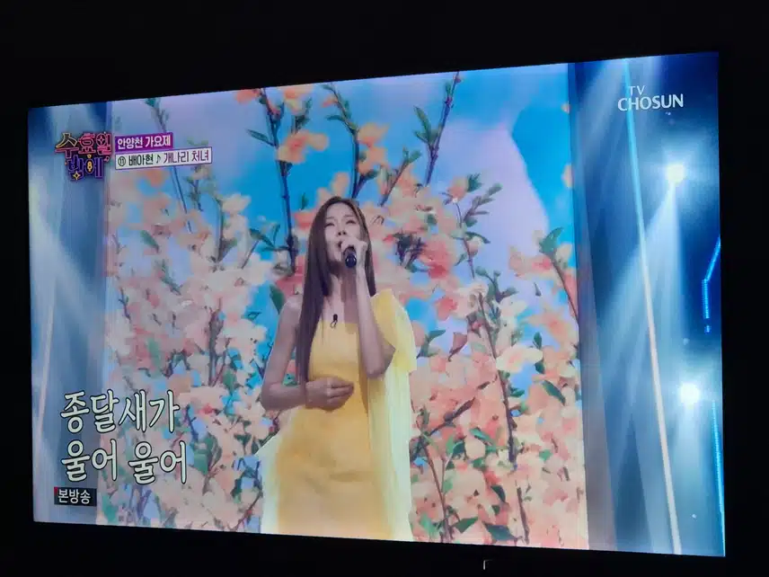 배아현님 개나리 처녀 노래 120%소화하며 불러줬네요