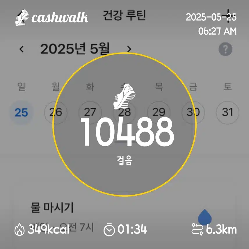 7일차