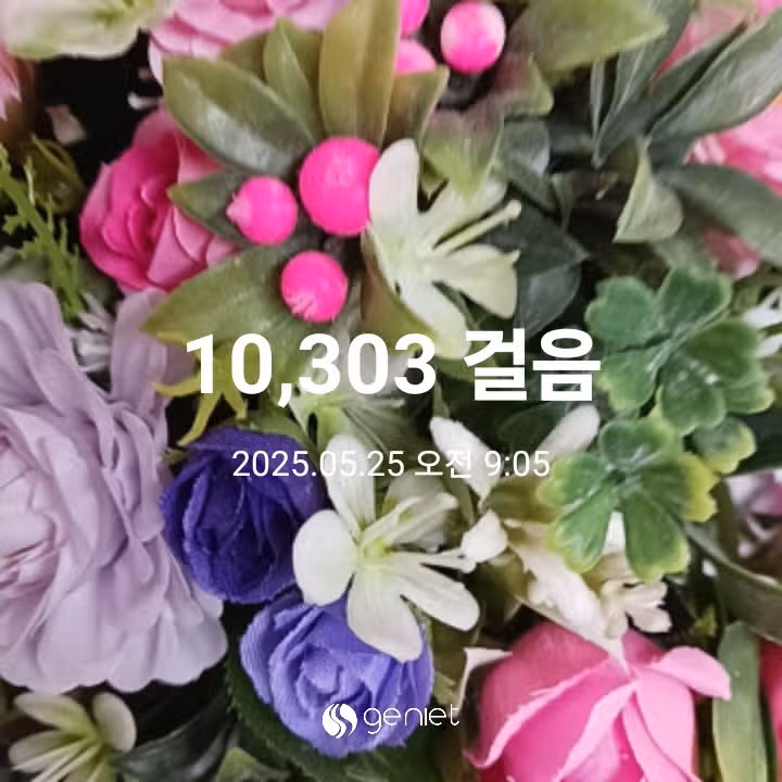 오전 운동 