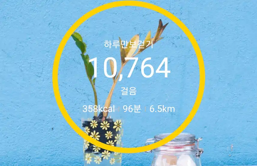 인증 