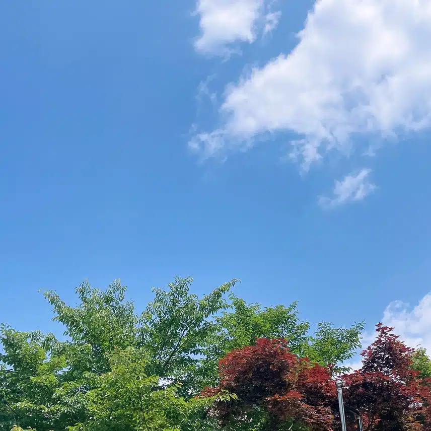 하늘🩵