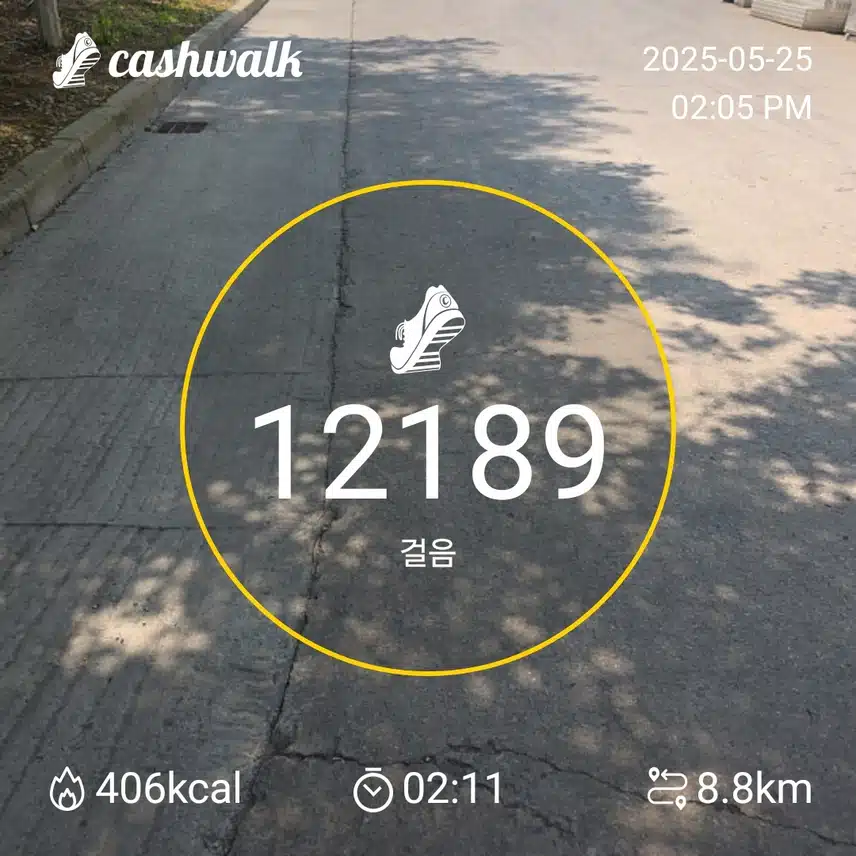 인증