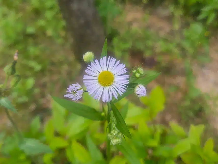 상쾌한 산책길 