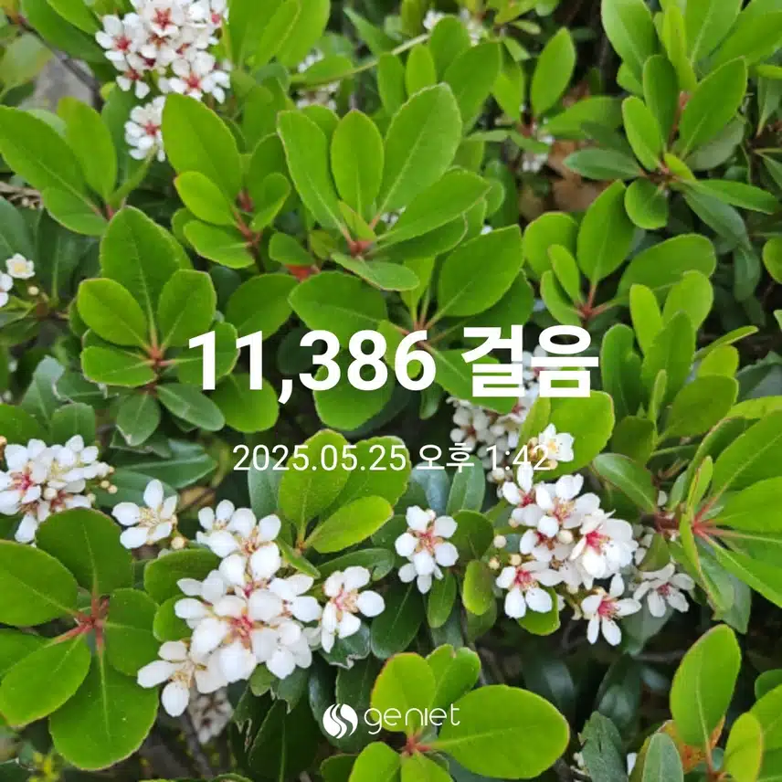 걷기에 좋은 날이네요.🏃