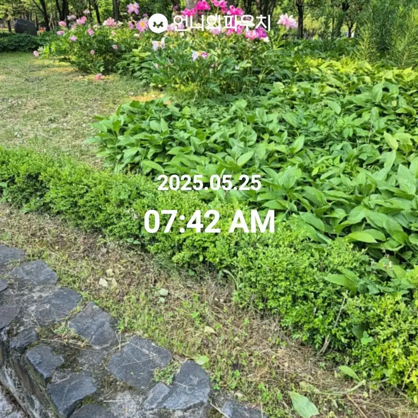5/25 걷기 