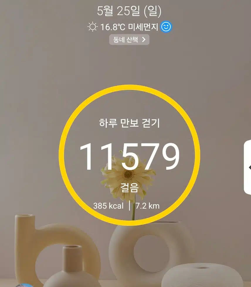 1만보 걷기 운동 마침