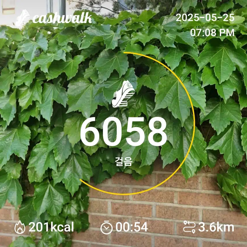 인증