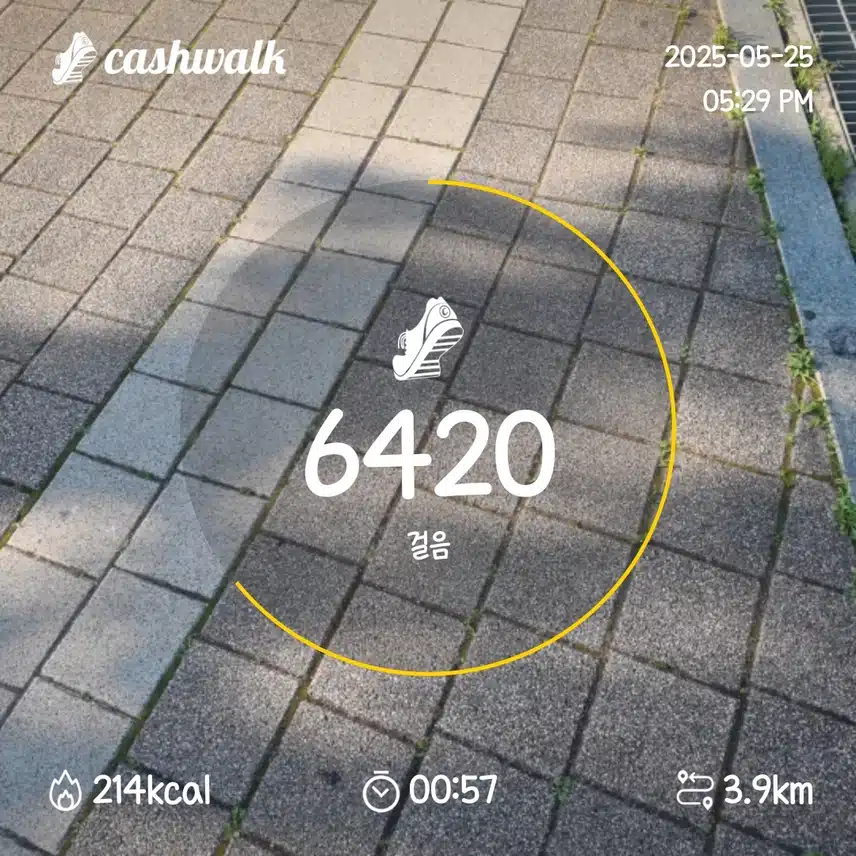 인증