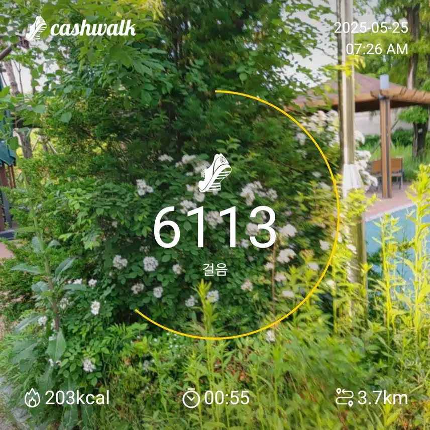 6000보 걷기